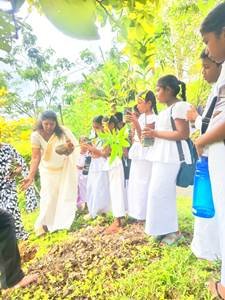 2026 වර්ෂයේ පරිසර දිනයට සමගාමීව අක්මීමන කොටිඨාශයේ පාසල් හා දහම්පාසල්  දරු දැරියන්ගේ සහභාගිත්වයෙන්  පරිසර දින වැඩසටහන්  2026.06.05 , 07, හා 08 දිනයන්හිදී   පැවැත්විණි