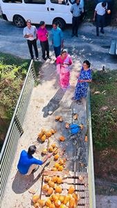 ලේ දන්දීමේ කදවුර - 2026  අක්මීමන ප්‍රාදේශිය ලේකම් කාර් යාලය  2026 මාර් තු 16 දින