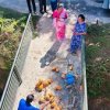 ලේ දන්දීමේ කදවුර - 2026  අක්මීමන ප්‍රාදේශිය ලේකම් කාර් යාලය  2026 මාර් තු 16 දින